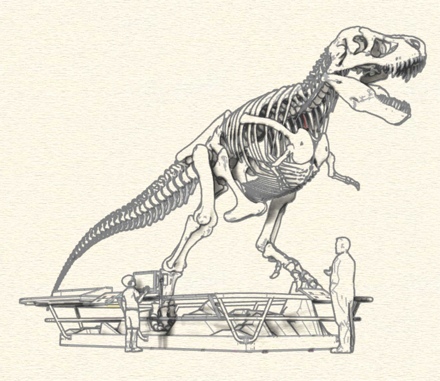 arte bogota Dinosaur dinosaurio maloka museo T rex