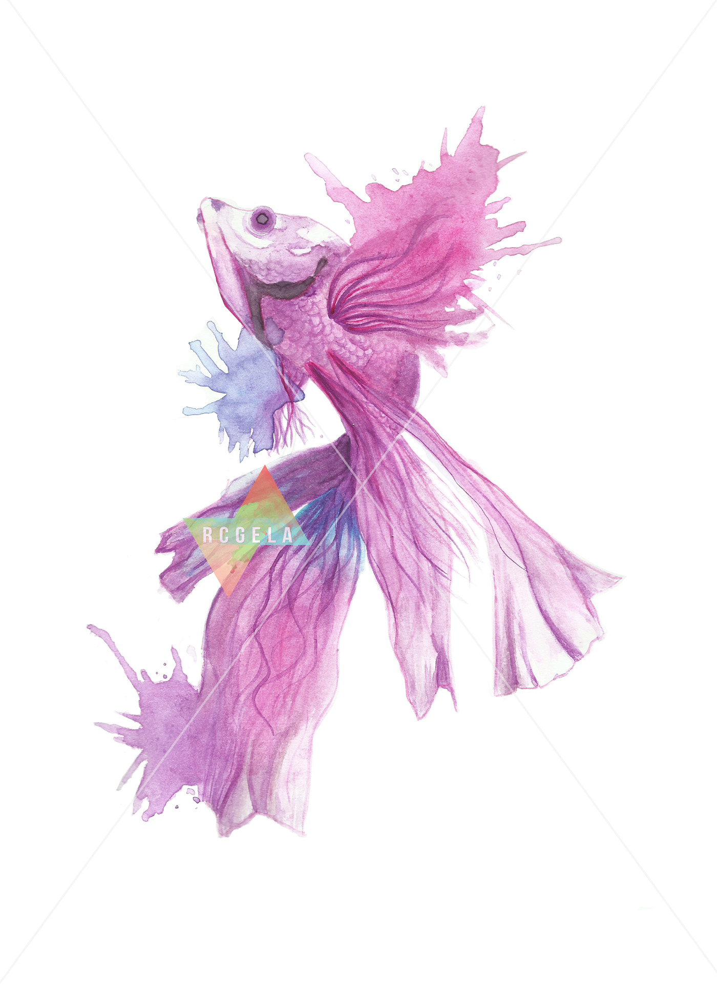 watercolor painting   fish aqua marine marine