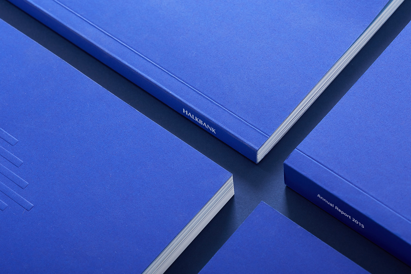 ANNUAL report editorial book blue design typography   Indigo corporate Kiosk