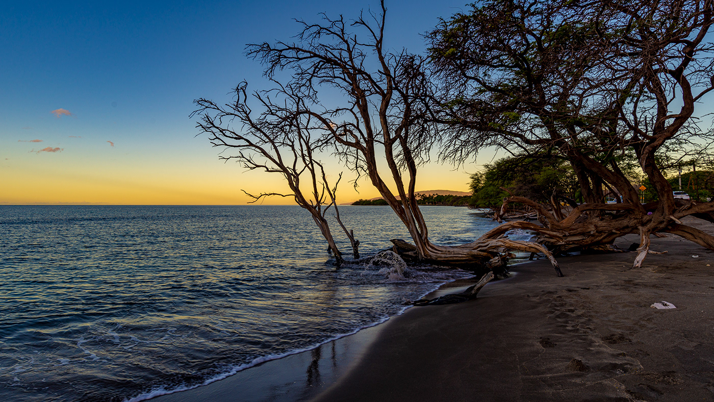 beach HAWAII Landscape maui Nature sea Sunrise Travel trees waves