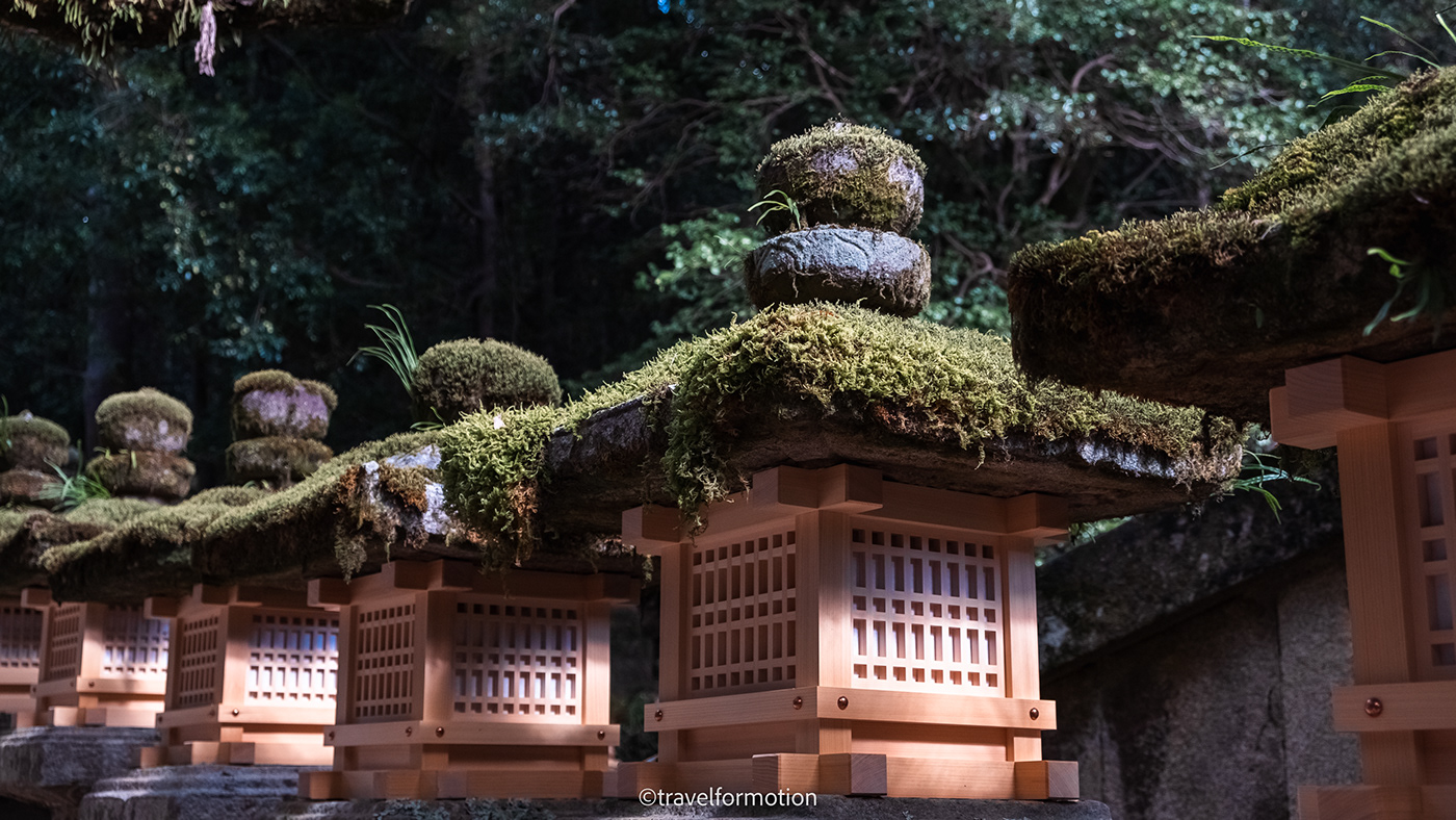 boeddha fuji historic japan japanese Nara narajapan Photography  tempels Travel