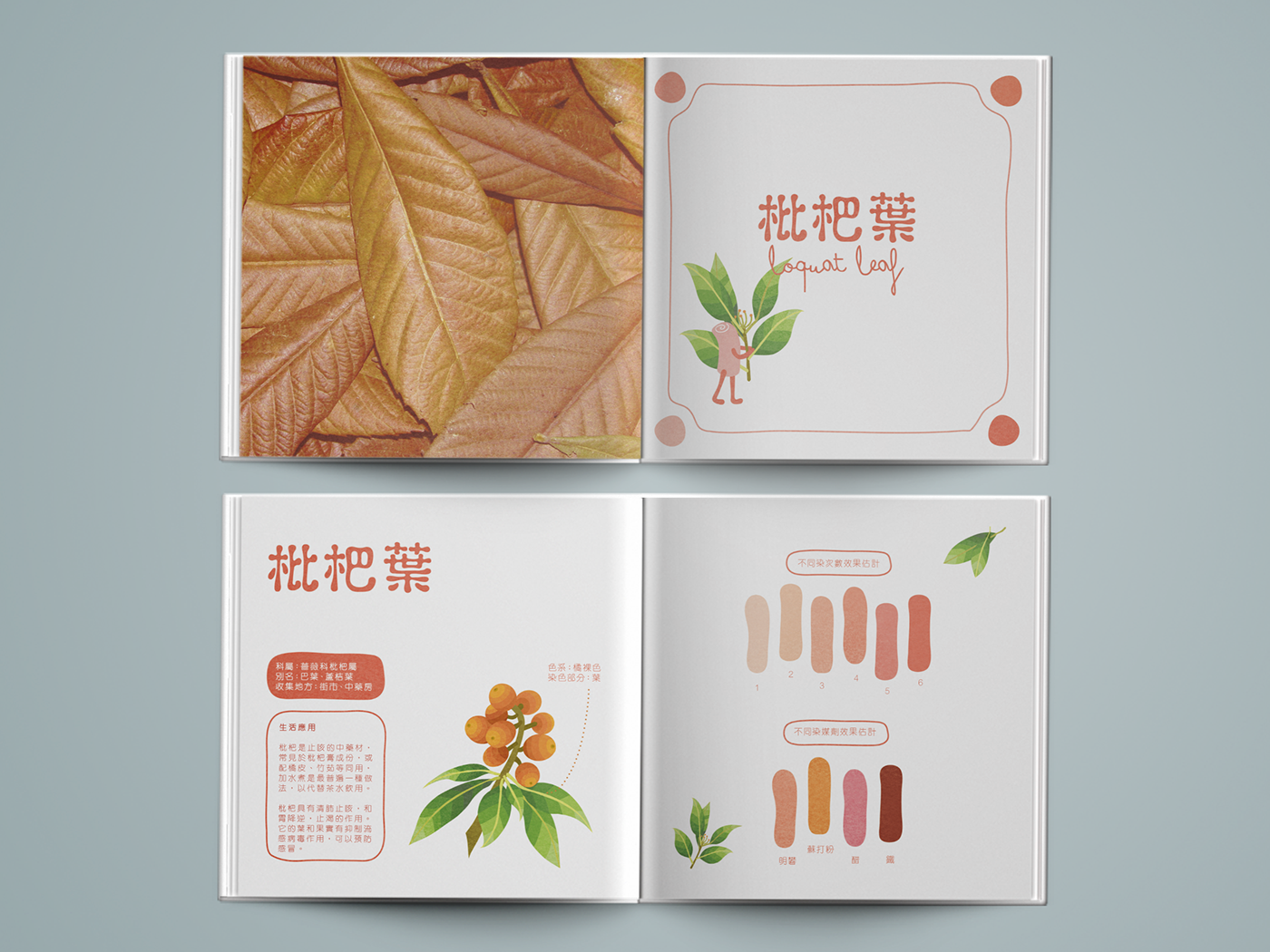 book ILLUSTRATION  poster tvc Packaging design branding  natural dyes Love