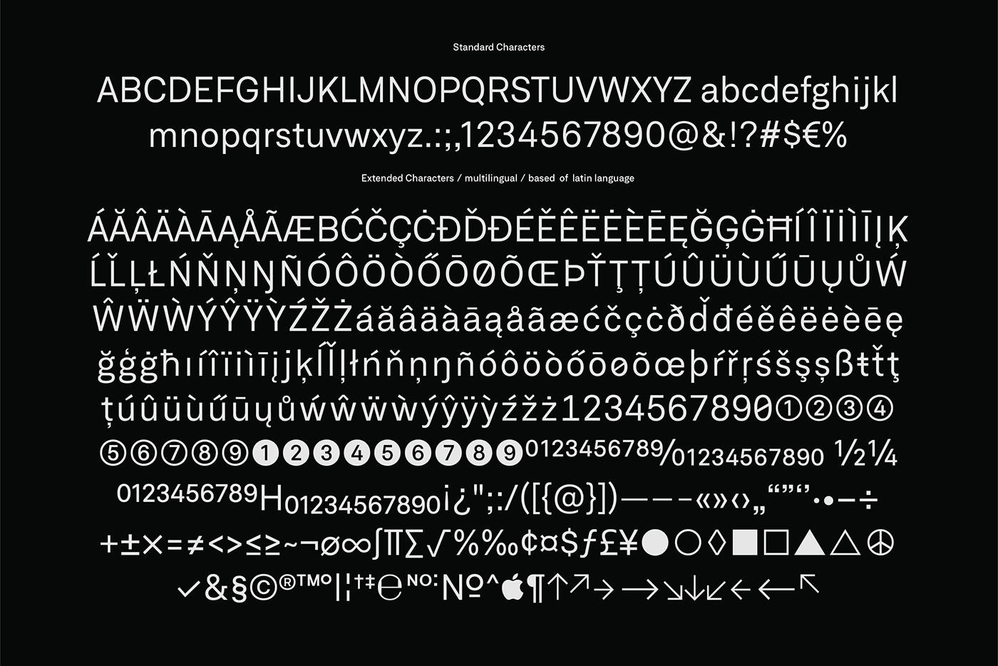 Typeface typography   grotesk sans serif industrial branding 