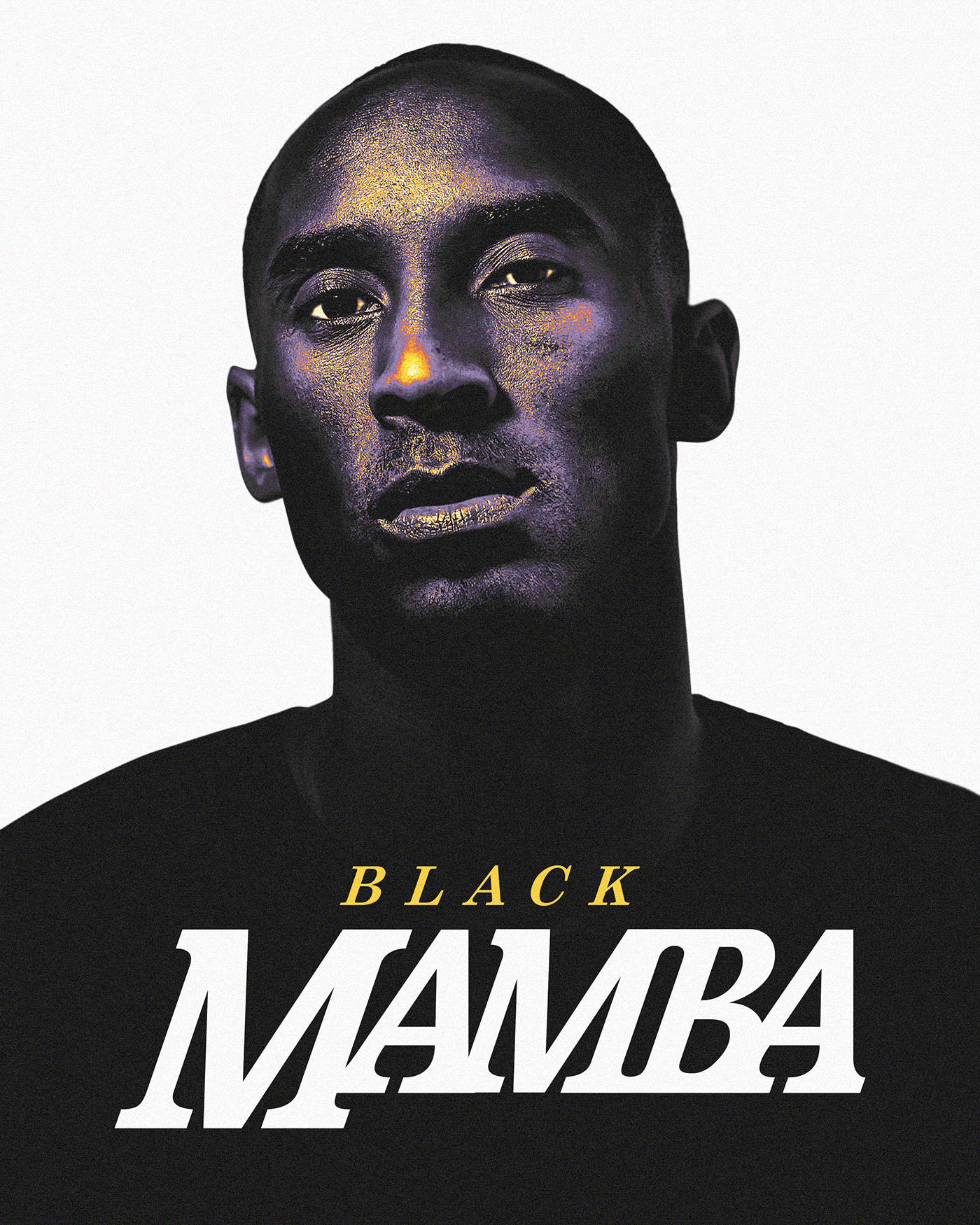 art basketball black mamba hoops Kobe Bryant Lakers Los Angeles NBA Nike sports