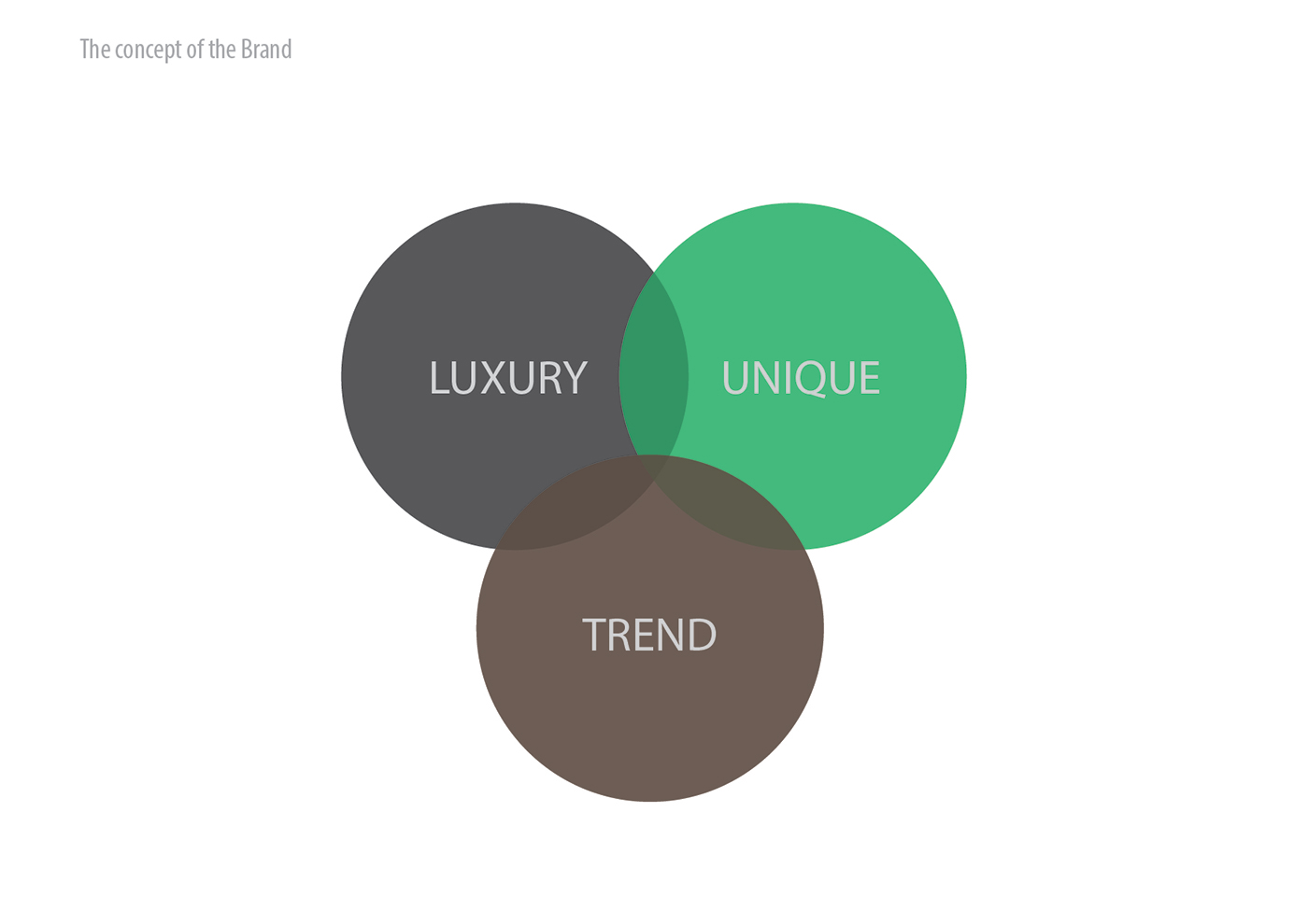 luxury brand hotel identity logo graphicdesign design strategy ArtDirection kosovo