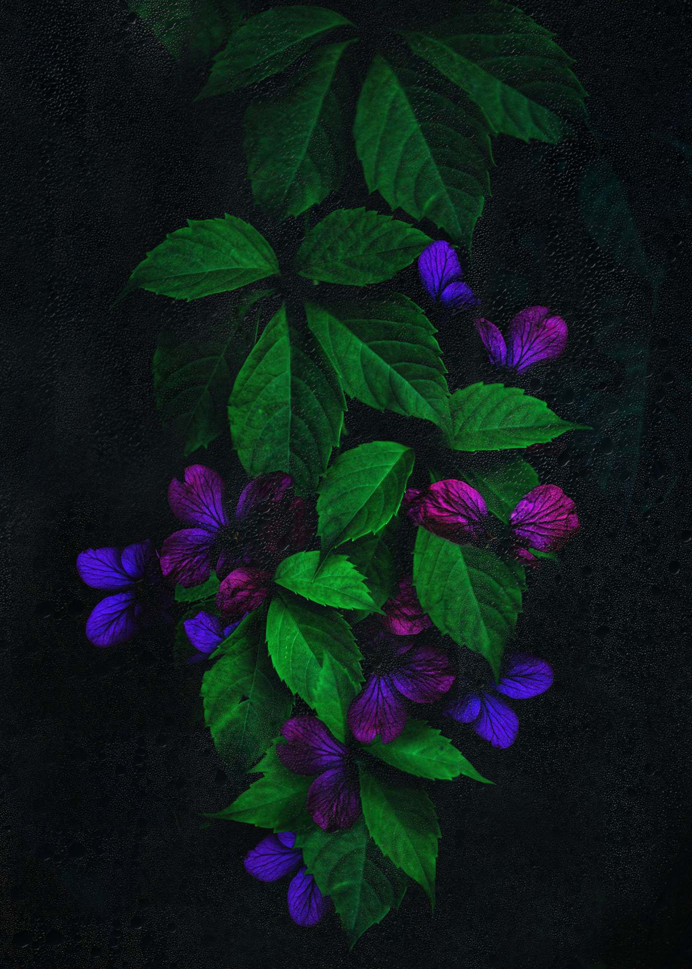 Plant flower floral Flowers Mattepainting fantasy artwork dark art digital illustration