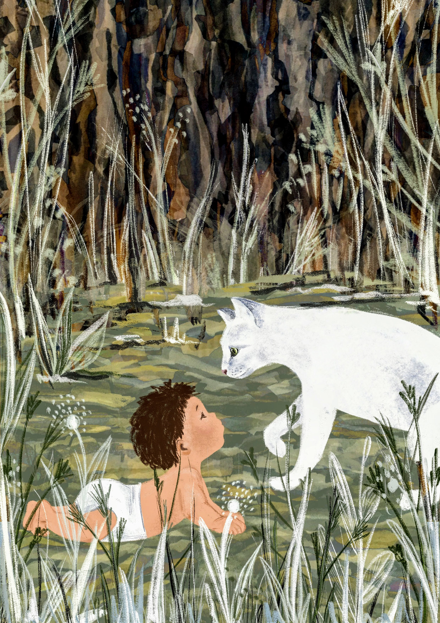 book book cover Cat children illustration fairy tale ILLUSTRATION  kipling Procreate white cat