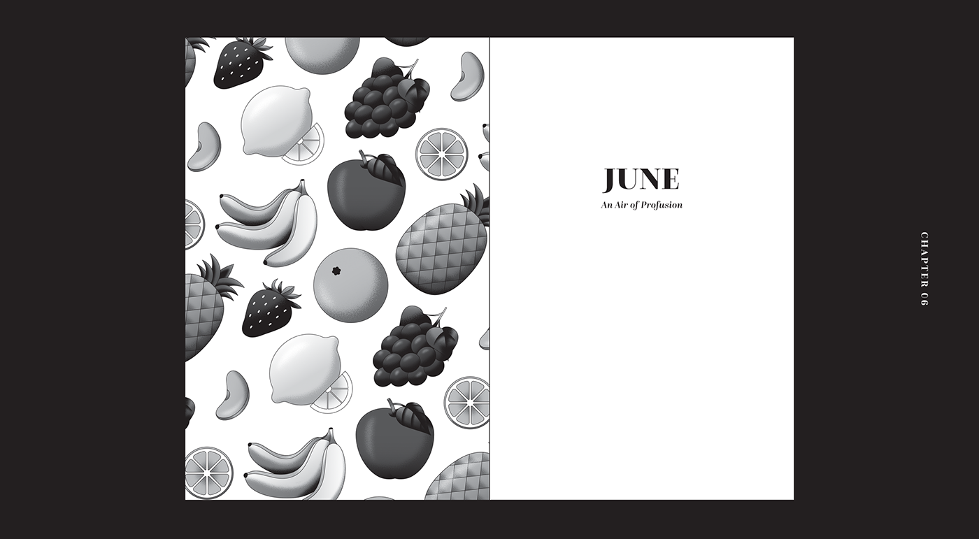 book cover ILLUSTRATION  vector pattern Food  monochrome black and white Illustrator digital illustration Retro