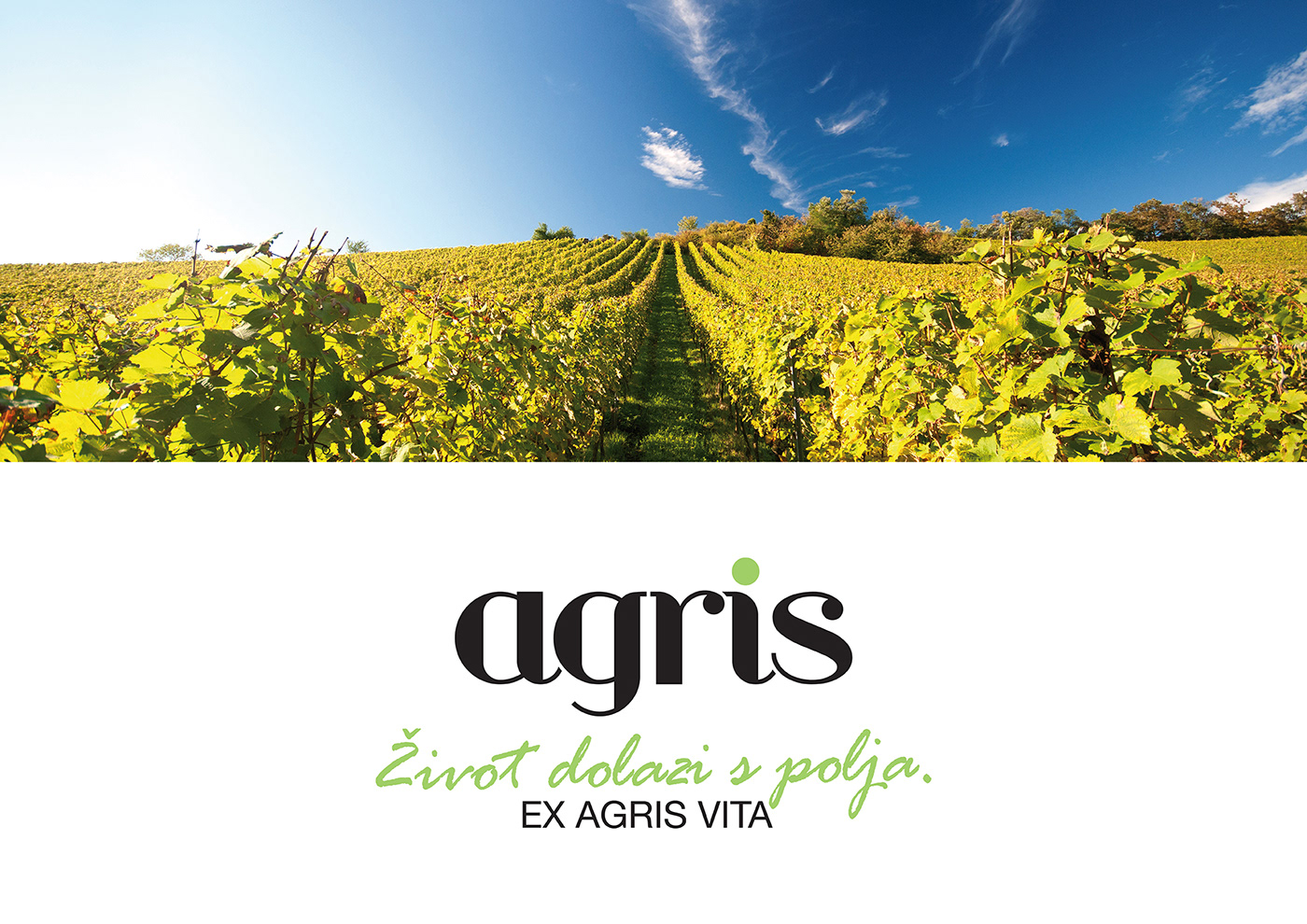 visual identity logo sign Logotype winery vinarija agris wine