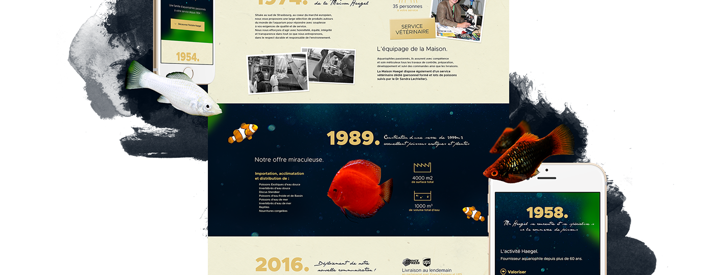maison haegel branding  Website logo Webdesign design fish mark brand