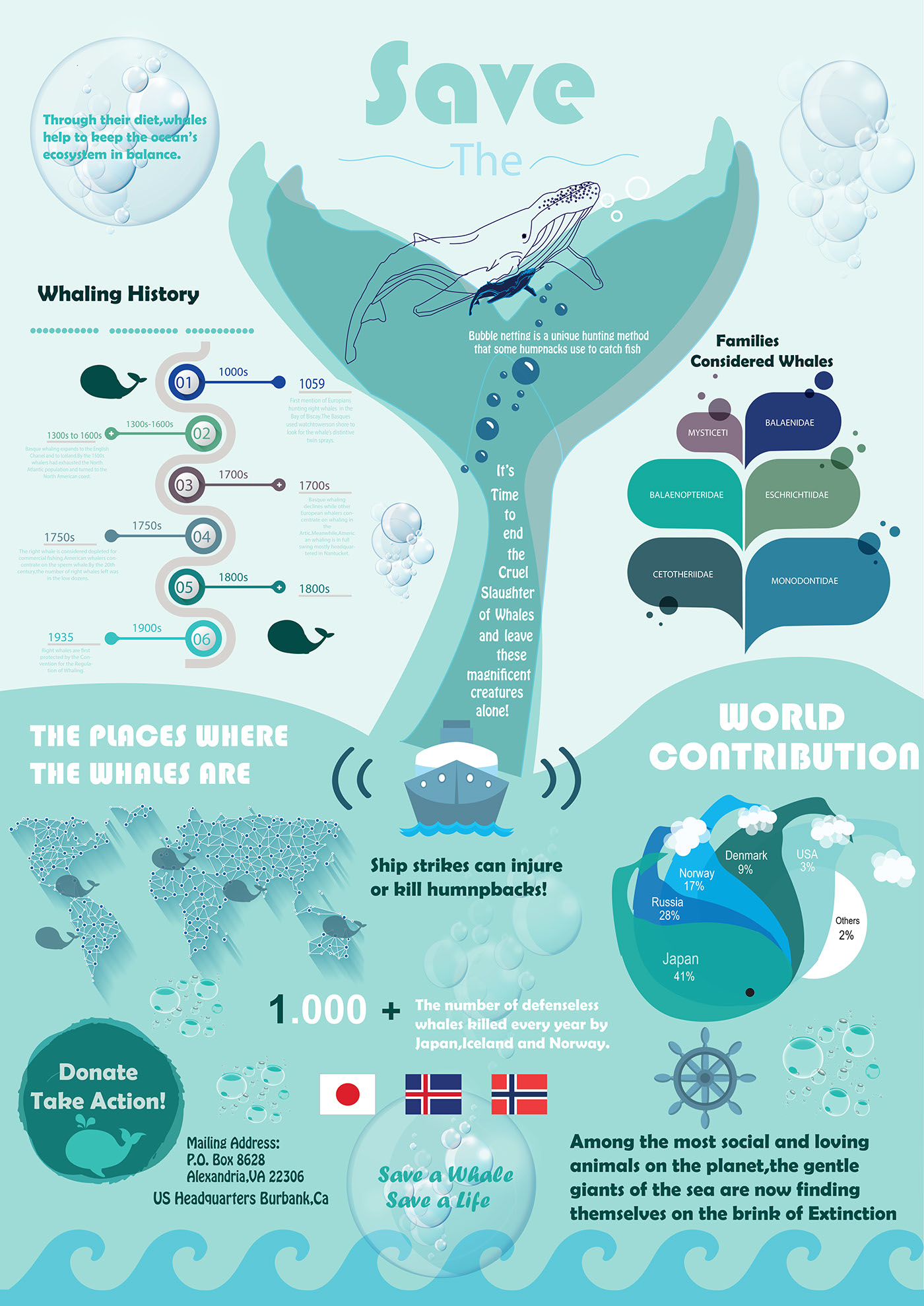 infographics Art Design information design Ocean donate whales sea shepherd