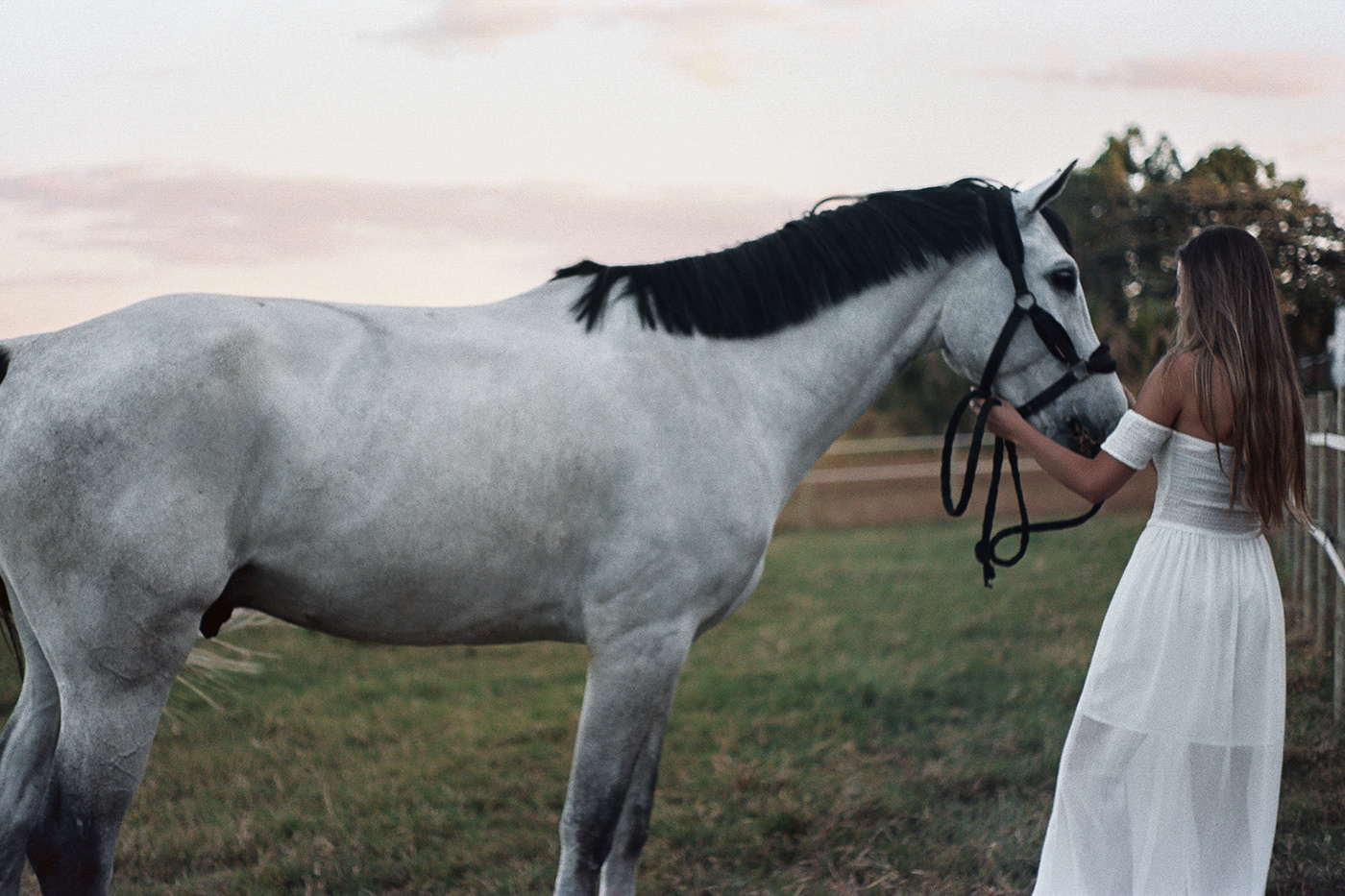 35mm analogic girl girls horse photoshoot