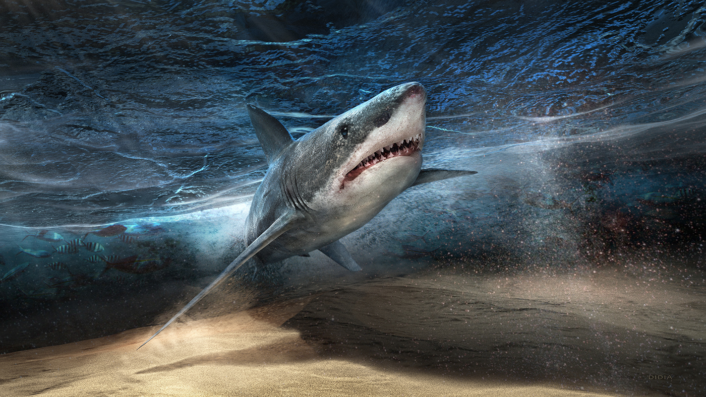 shark CGI Great White Ocean