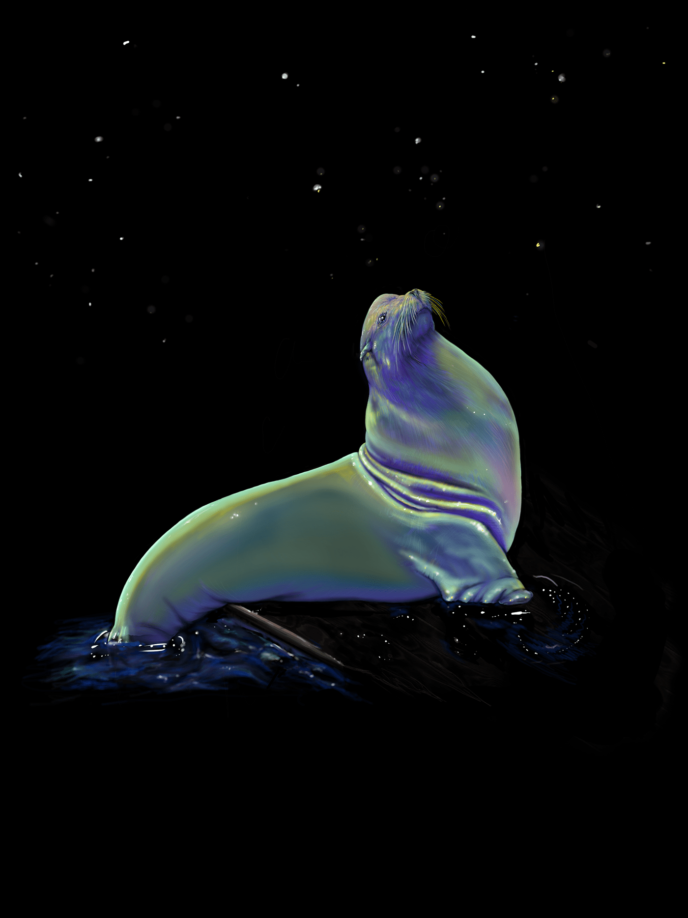 bioluminescence California Digital Art  fine art Night Swimming red tide sea lion