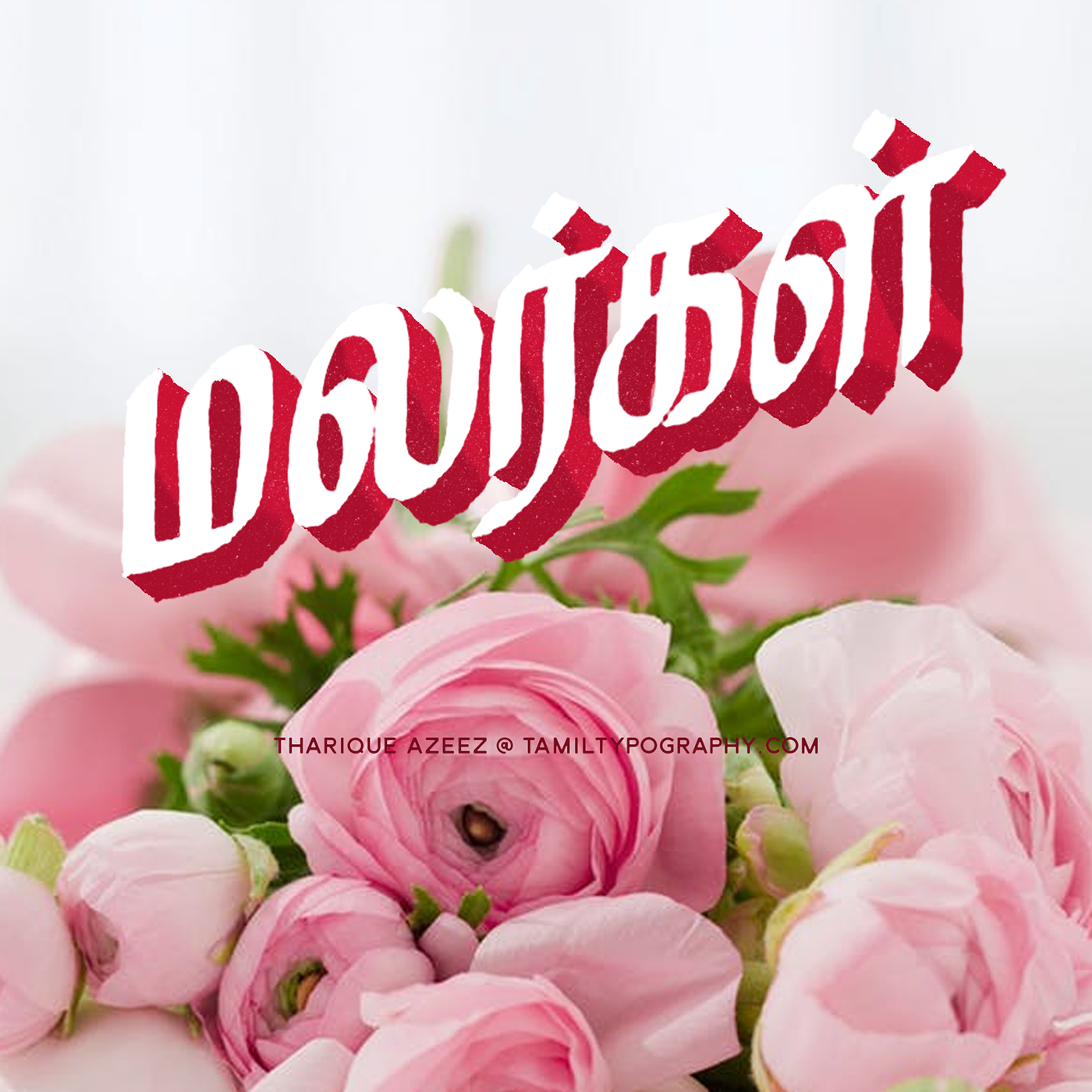 tamil tamiltypography tamilfont tamilmovietitle tamilbooktitle lettering Typeface Tamizh tamildesign
