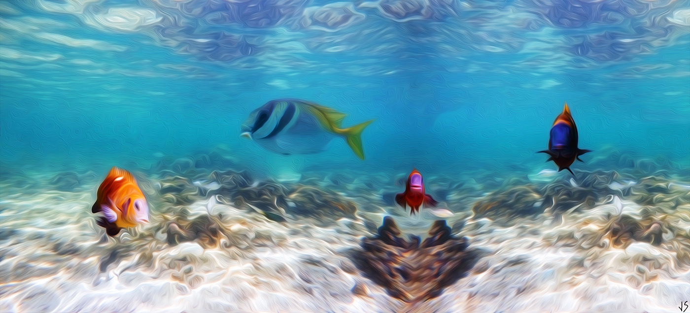 fish water Ocean sea animals digital painting