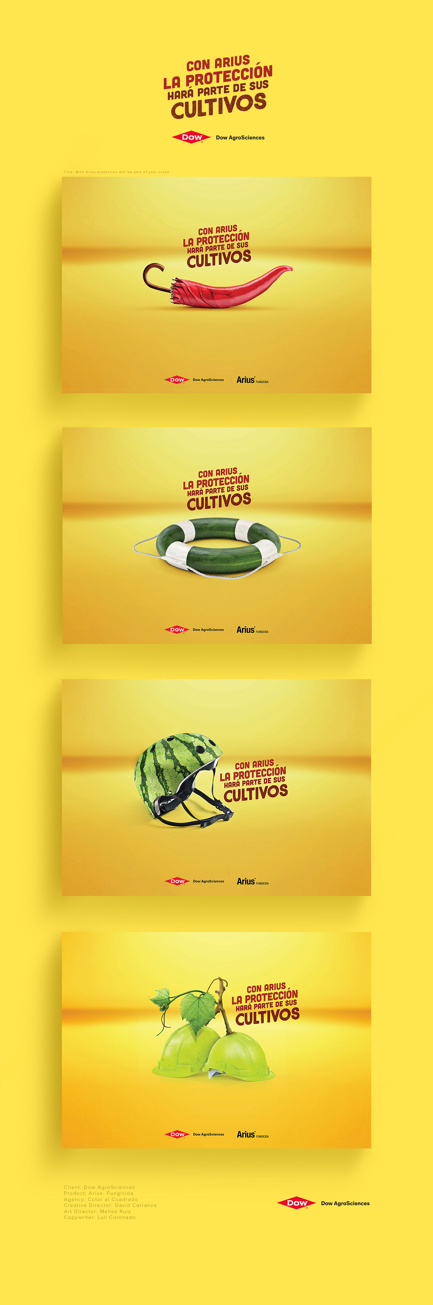 copywriter Creativity Fruit vegetable frutas minimal Campaña Duotone ads color
