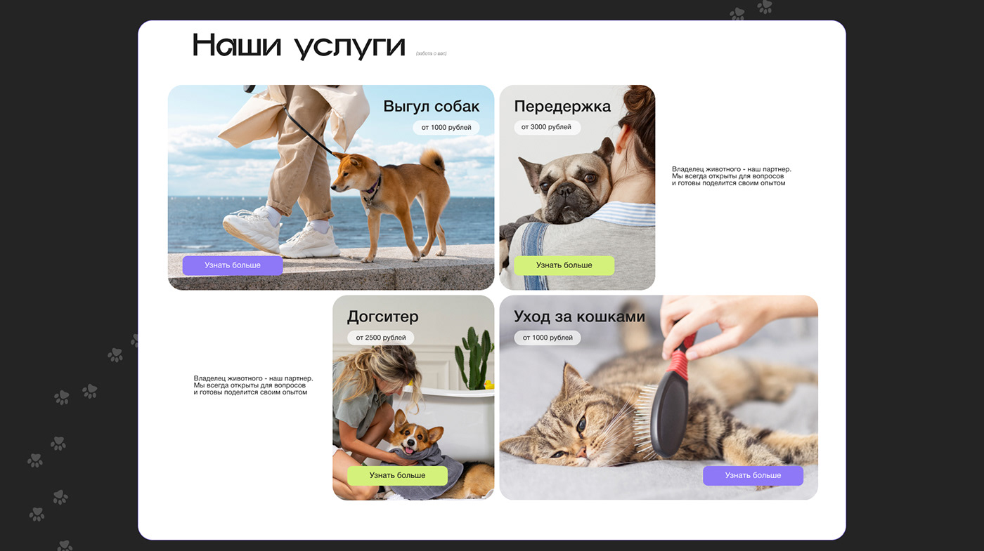 дизайн дизайн сайтов design designer uiux UI/UX ui design Figma user interface Web Design 