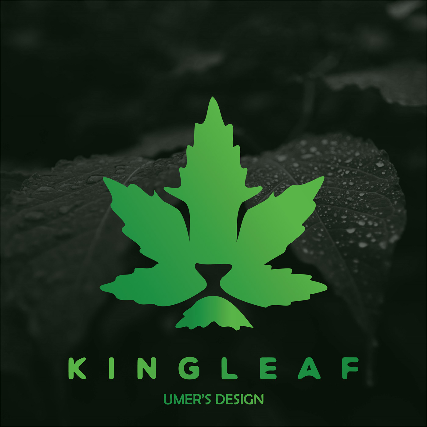 Logo Design Creativity king lion leaf Nature