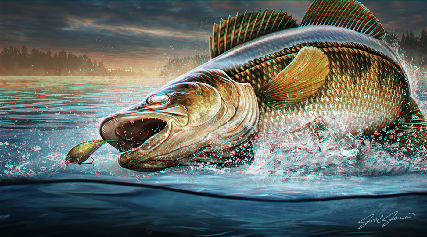 Walleye Fishing Art