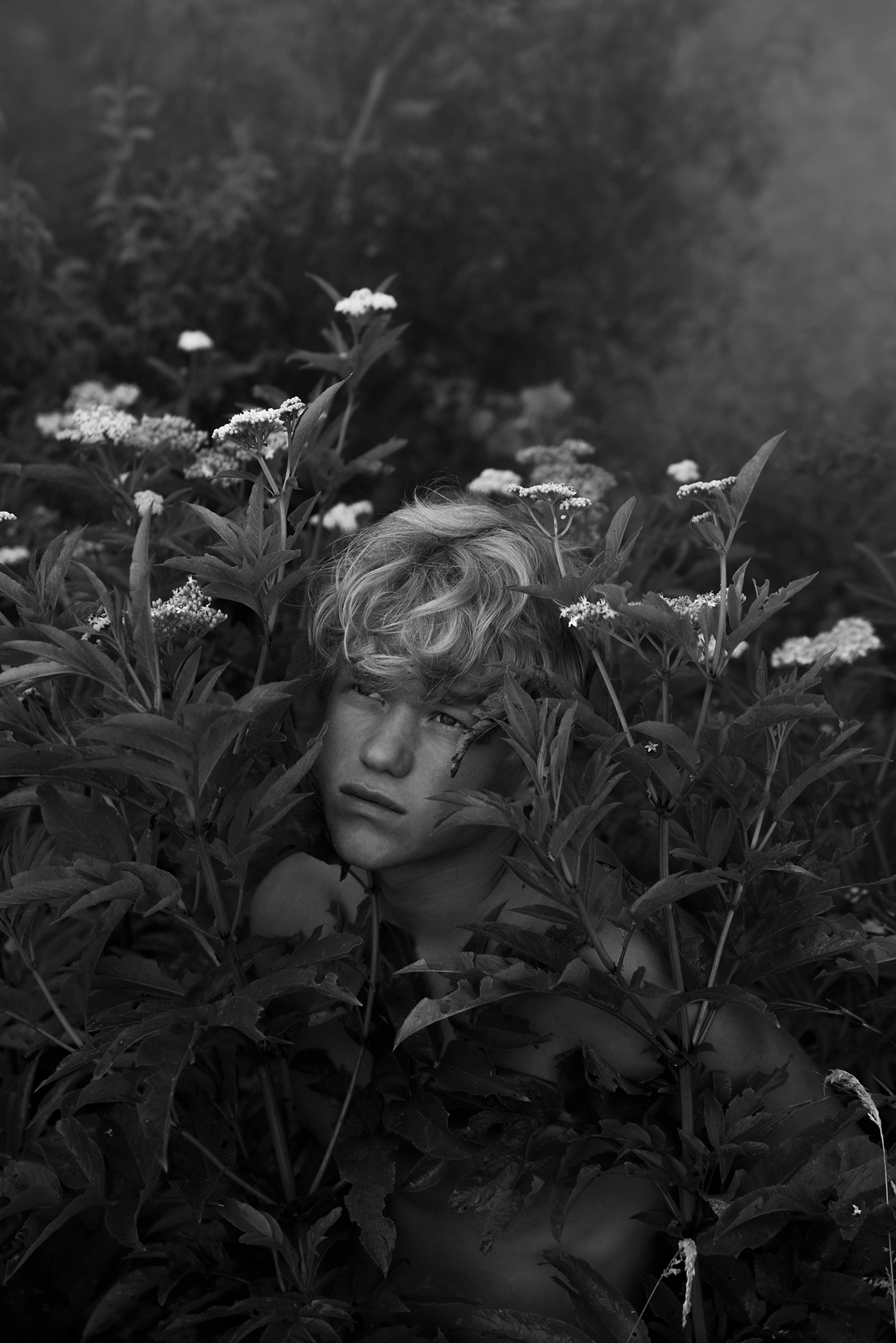 art boy cinematic flower goodbye Nature painting   portrait siermond siermondphotography