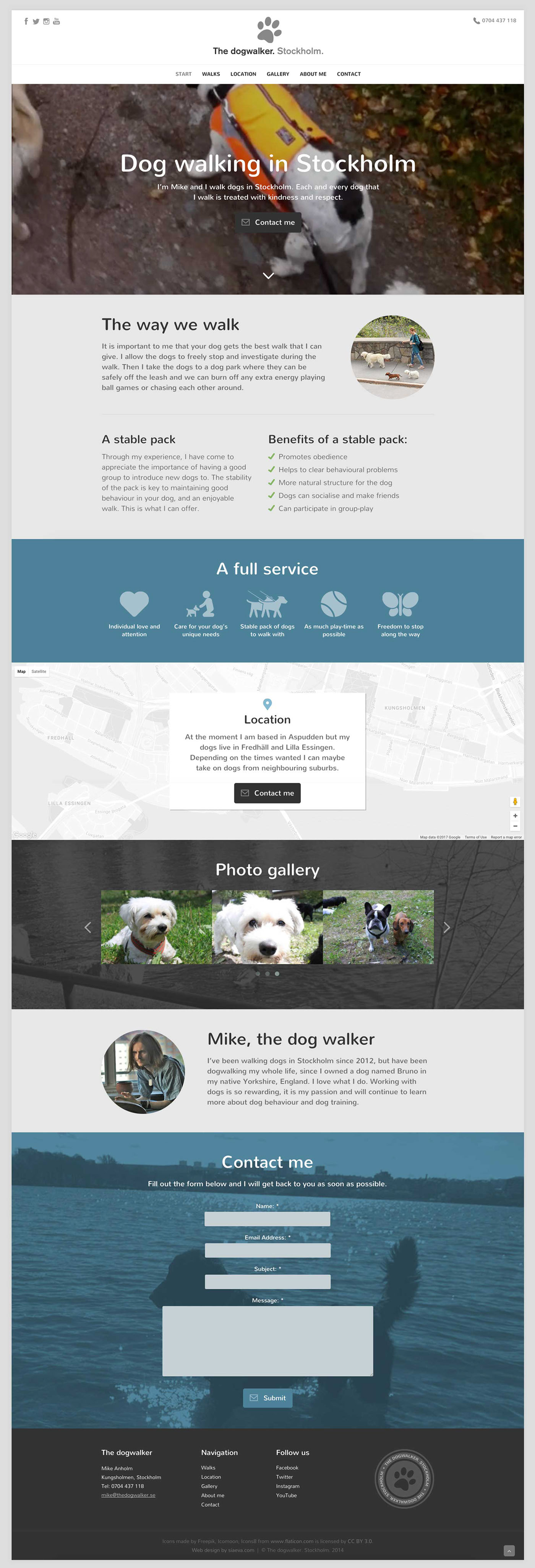 wordpress Web Design  Website Design dogwalking dogs dog