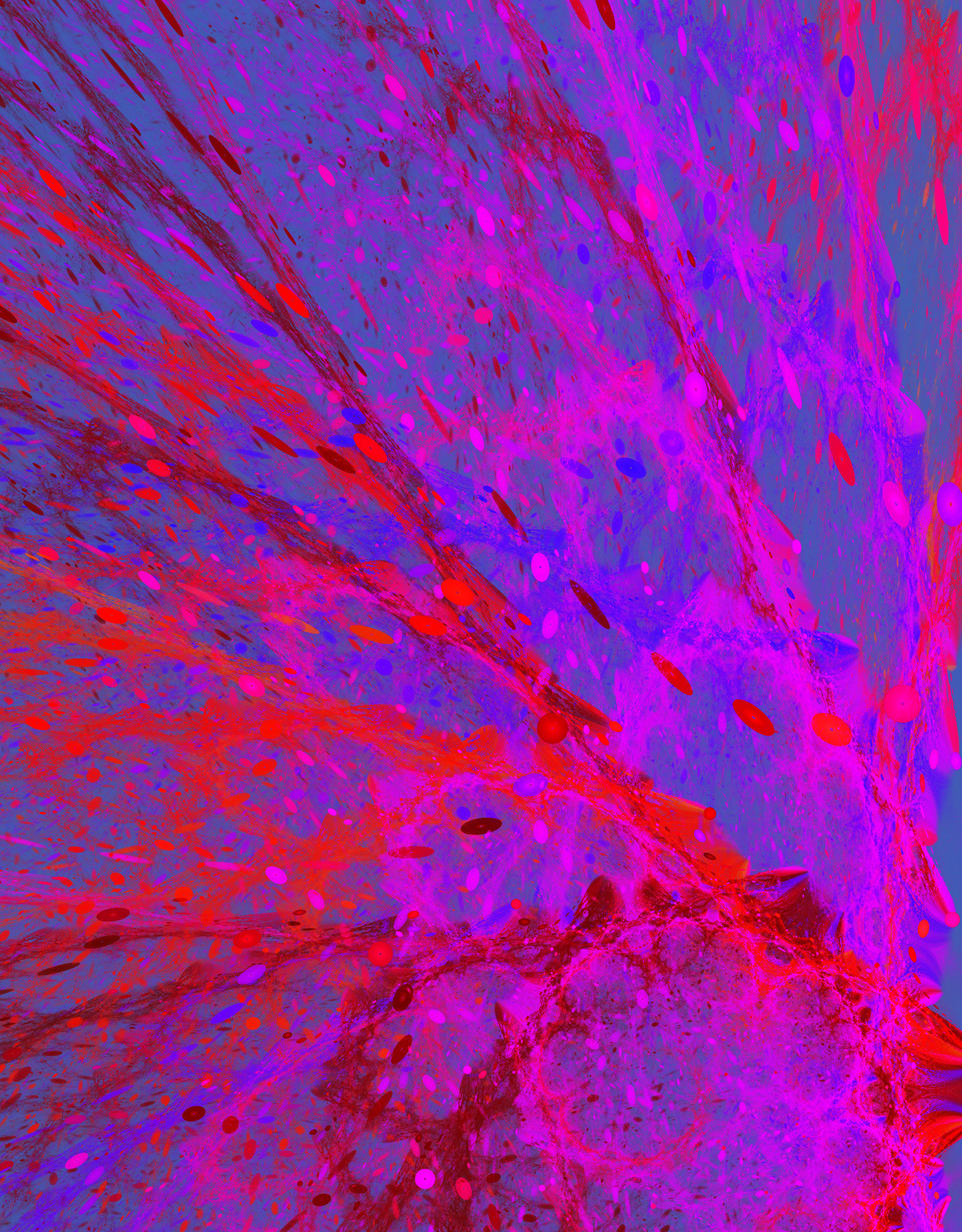 abstract fractal apophysis Abstract Art digital illustration artwork
