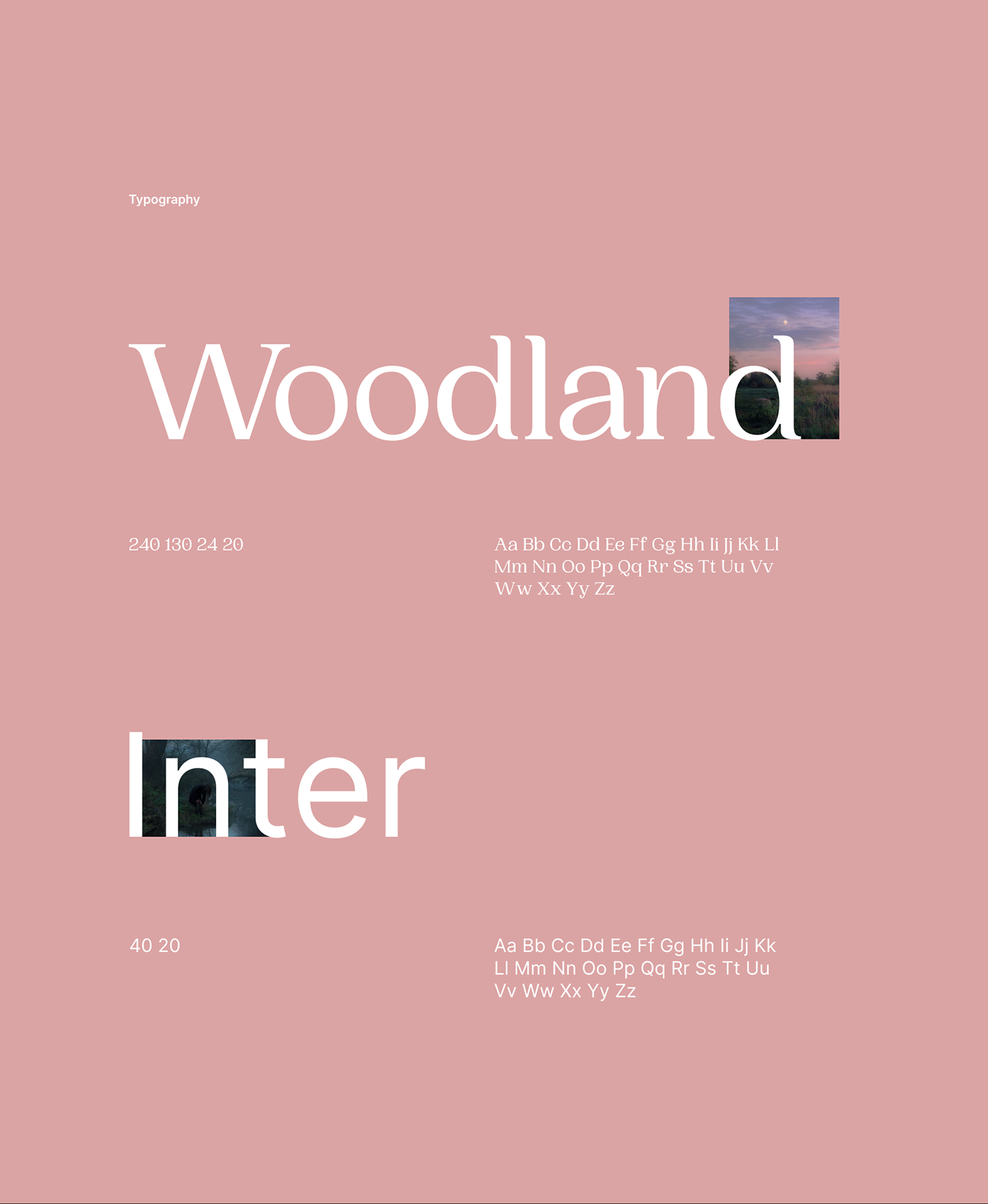 design minimal Photography  portfolio site portfolio typography   UI Webdesign Website