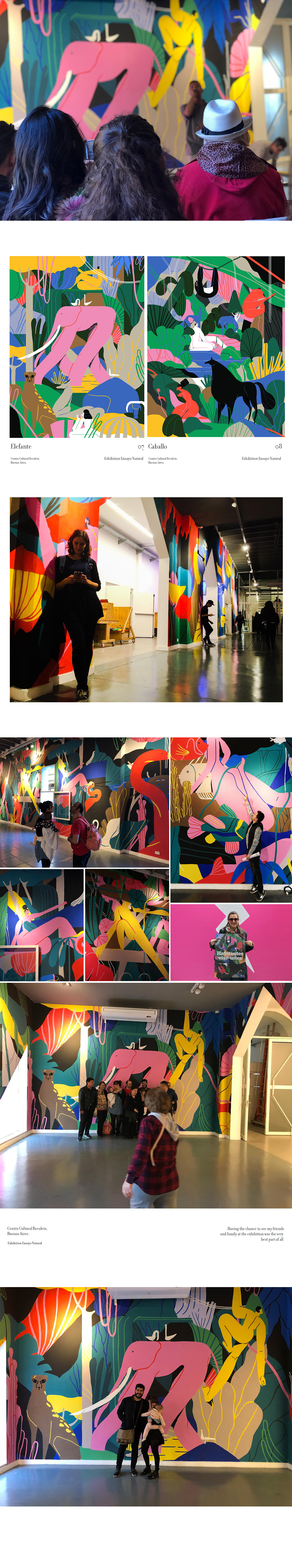 centro cultural recoleta Exhibition  Mural Nature animal animales color colores argentina buenos aires