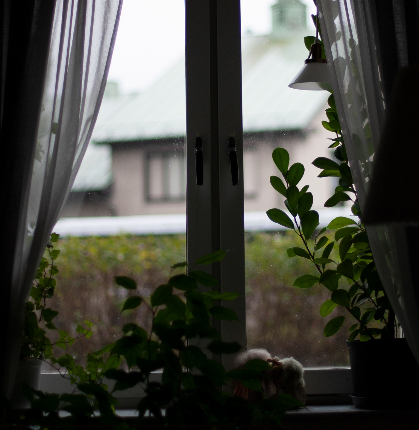 background figures front Plant rain view Window