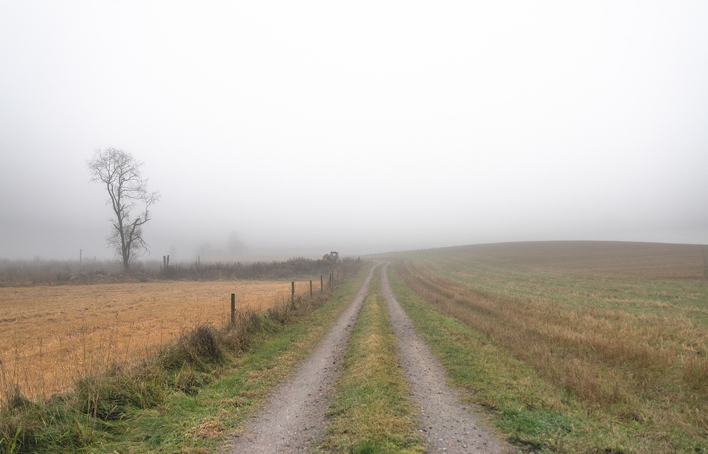 atmosphere countryside empty fields fog FOOD INDUSTRY landscap Moody rural Scandinavia