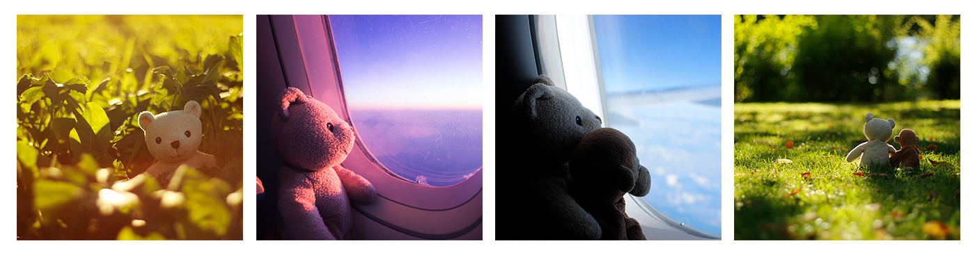 Photography  children stuffed animal teddy bear ILLUSTRATION  children's book journey Travel Journal airplane Travelling