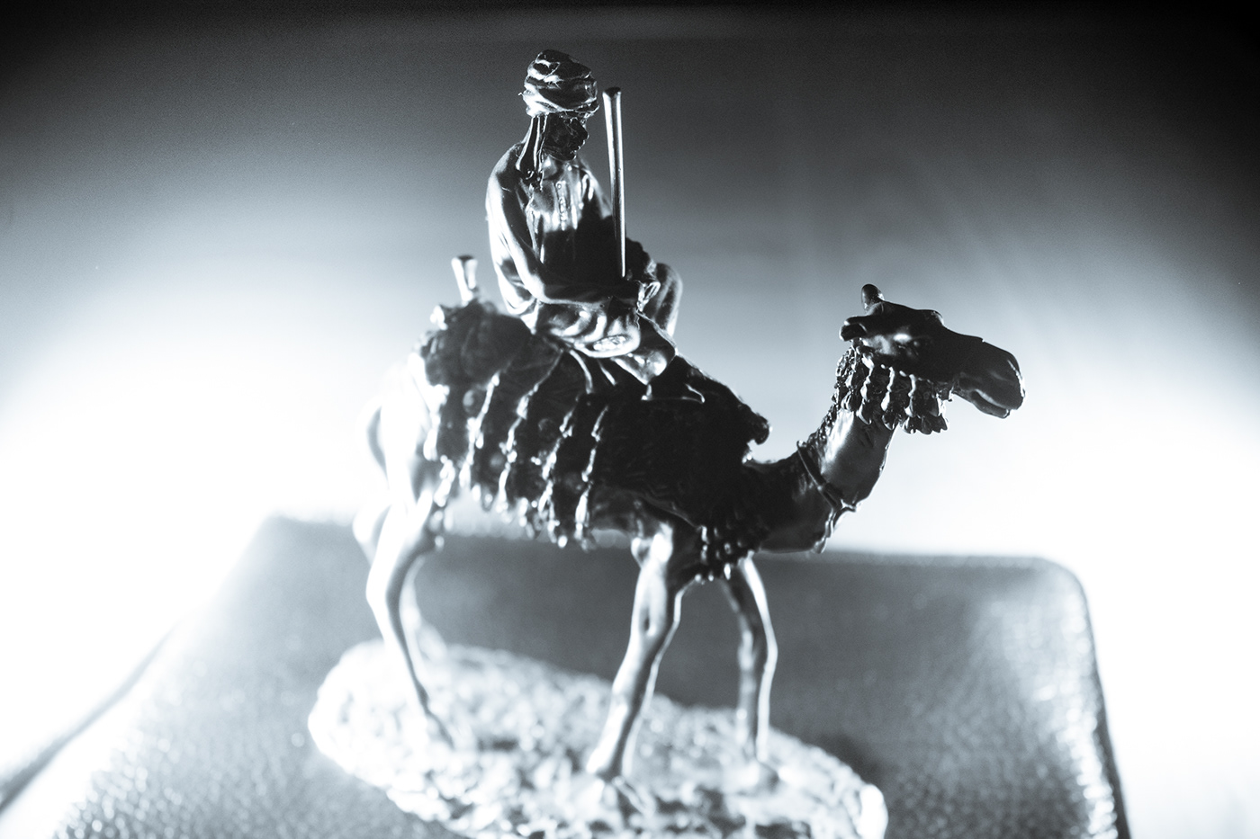 верблюд Странник фото фотография camel photo Wanderer