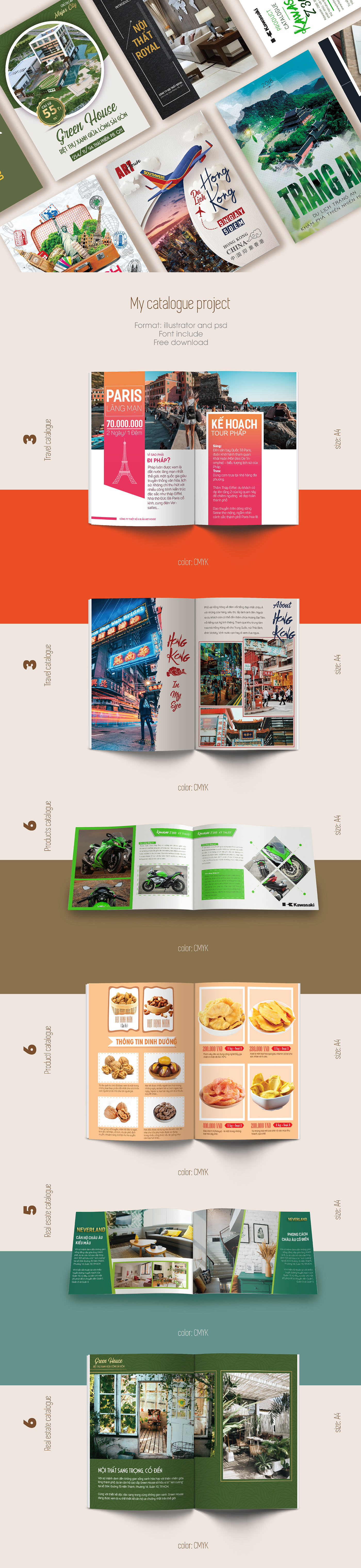 Catalogue Catalogue template  branding  graphic design 