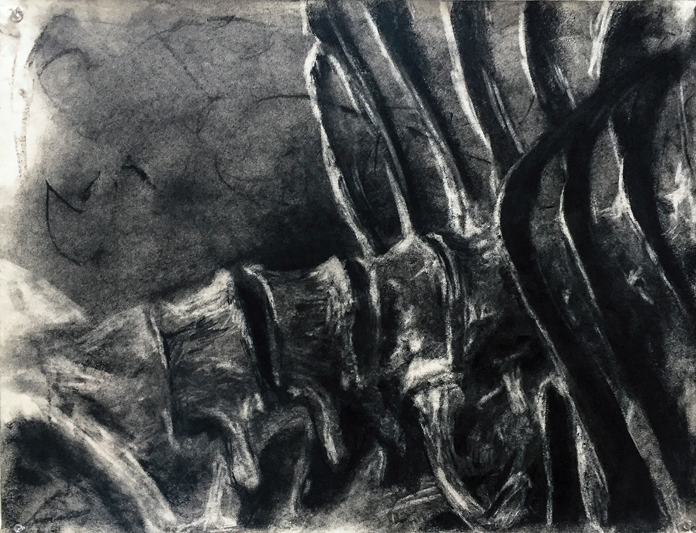 charcoal risd Drawing  skeleton bones Foundation Year Space  Nature