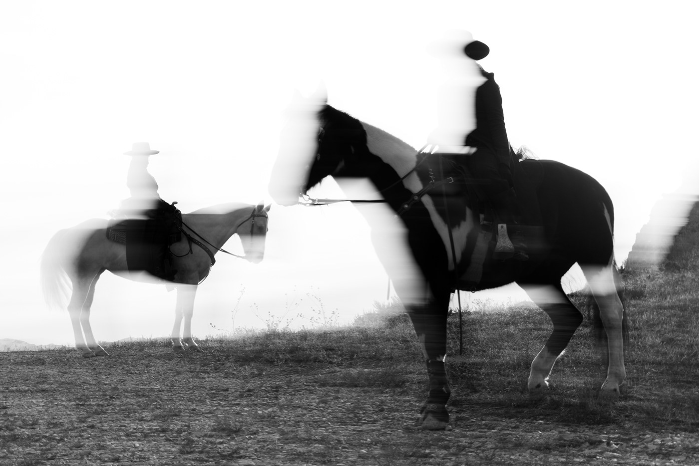 animals automotive   concept Fashion  horses Landscape model motorcycle Photography  retouching 