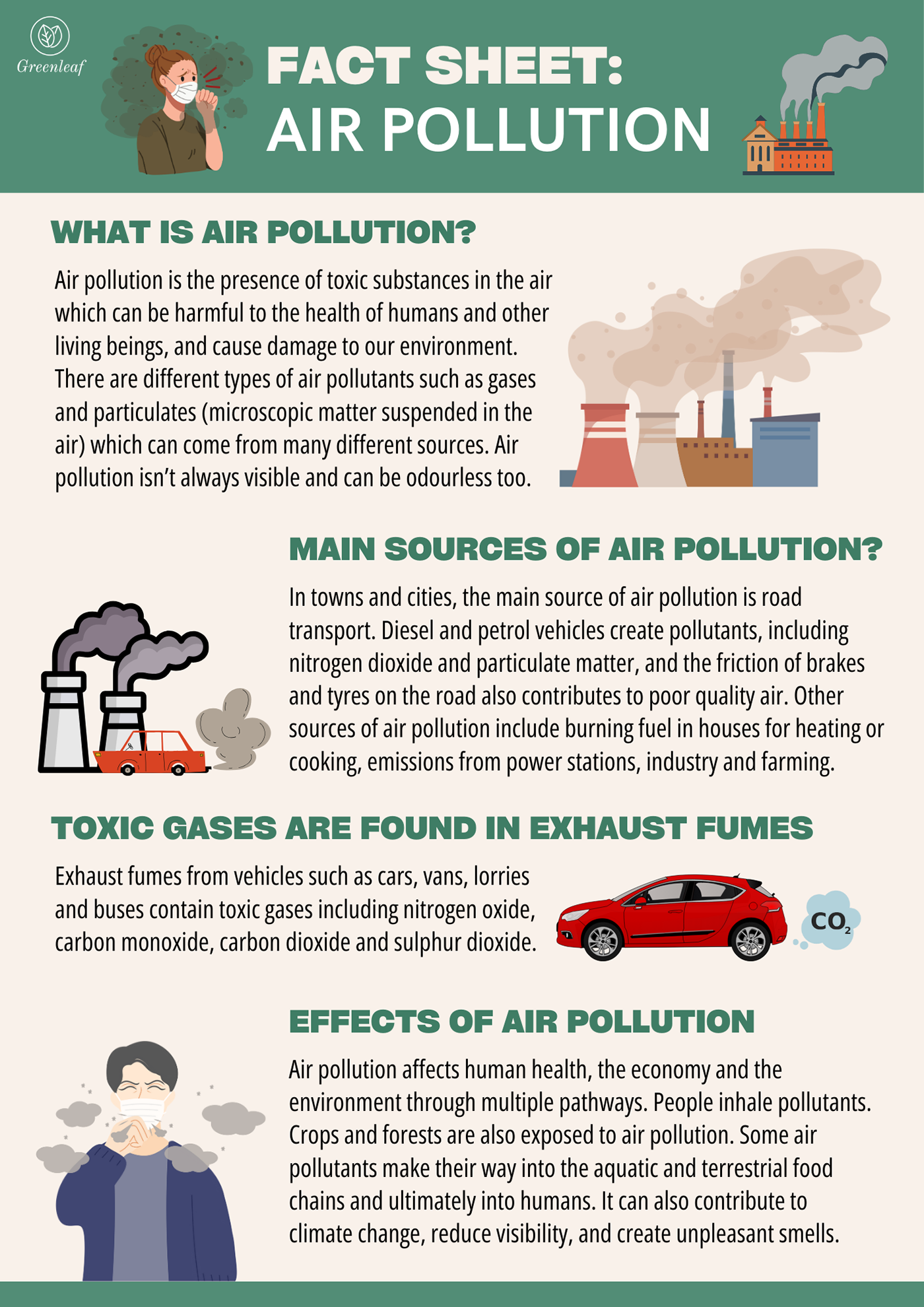 educational poster Air Pollution education poster ILLUSTRATION  Digital Art  Educational Flyer fact sheet classroom poster educational project Science Project