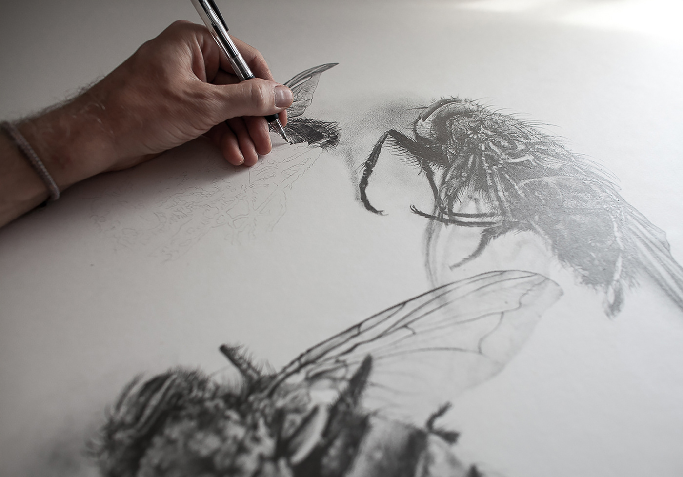 Drawing  graphite pencil