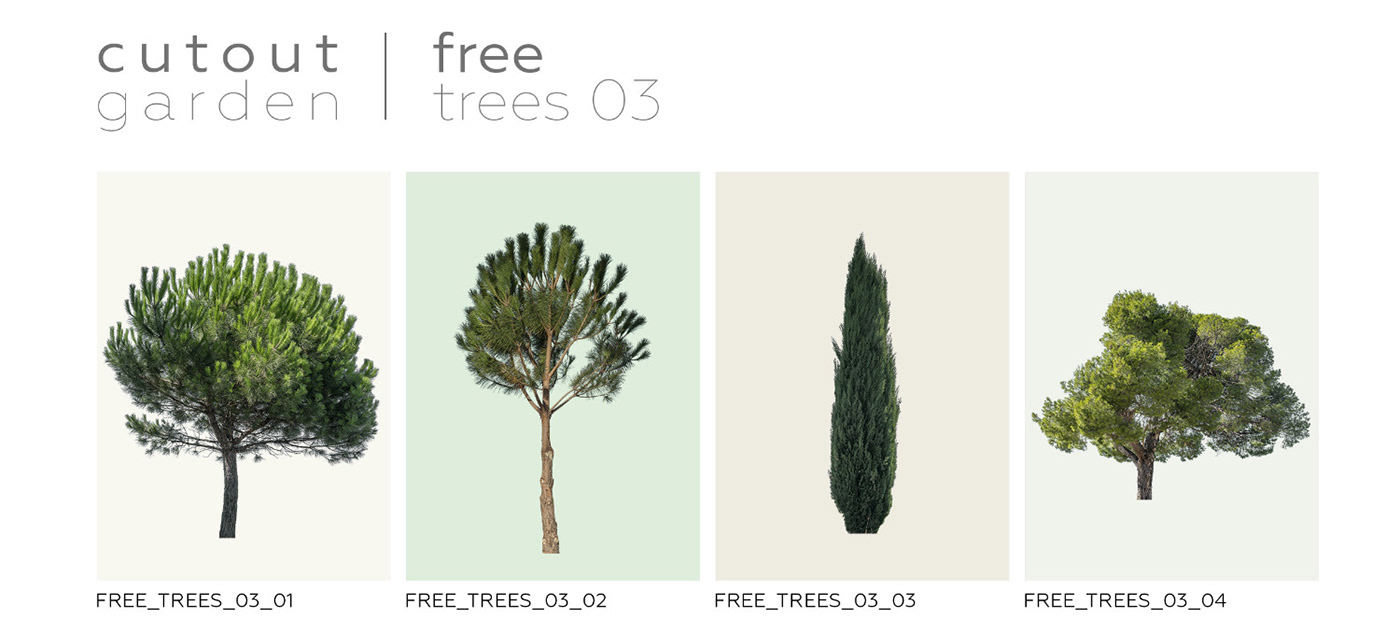 architectural cutout Free stuff Tree  trees vizualisation