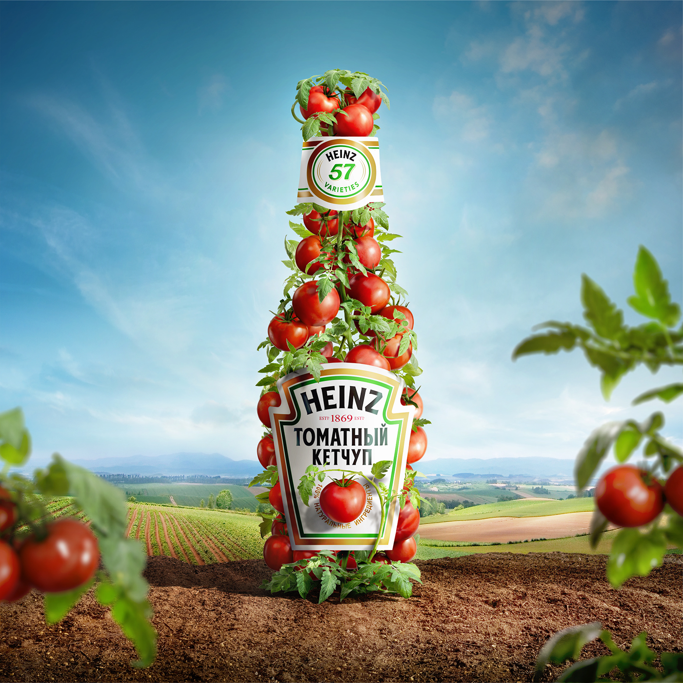 heinz DDB Russia