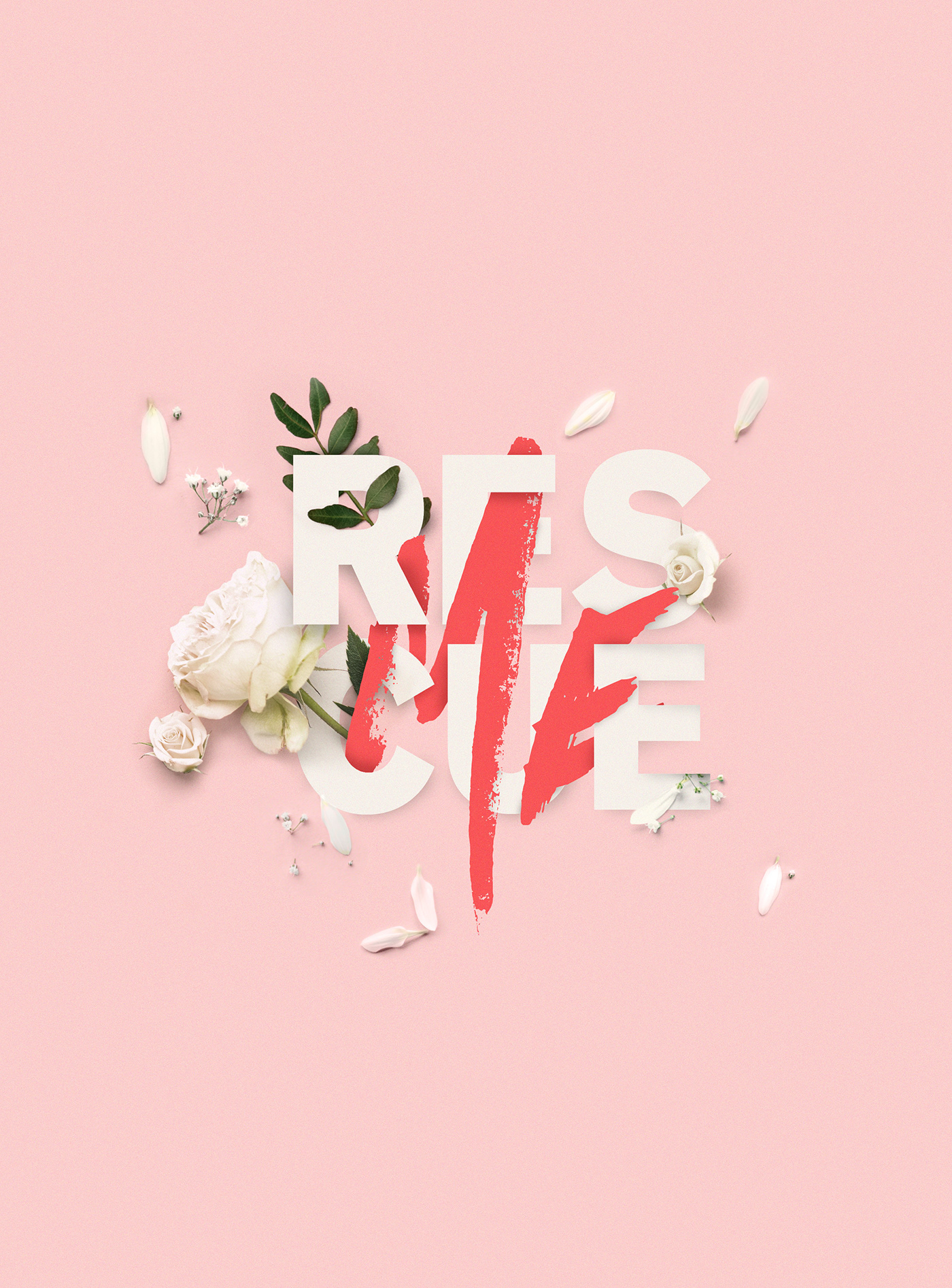 typography   Flowers design collage pink rescue MARSart