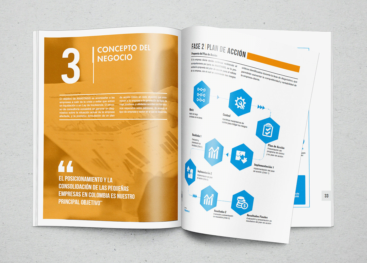 ANNUAL annual report Bussines Plan diagramation editorial editorial design  graphic graphic design  plan de negocios Reporte Anual