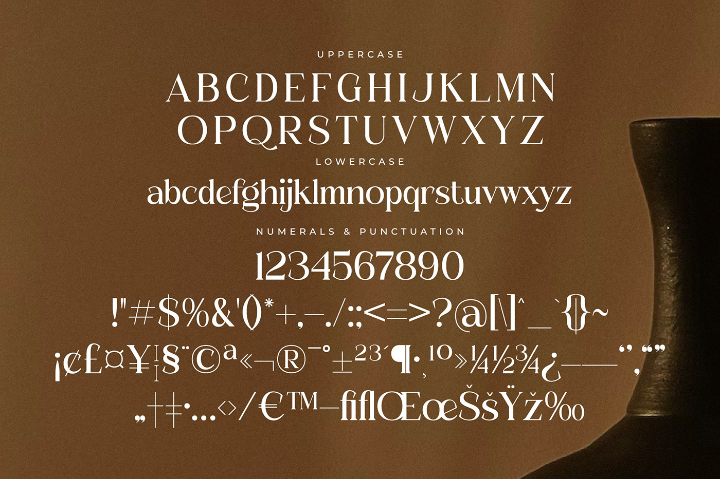 Serif Font serif display serif Serif Premium signature wedding Script Fashion  Luxury Serif Premium Serif