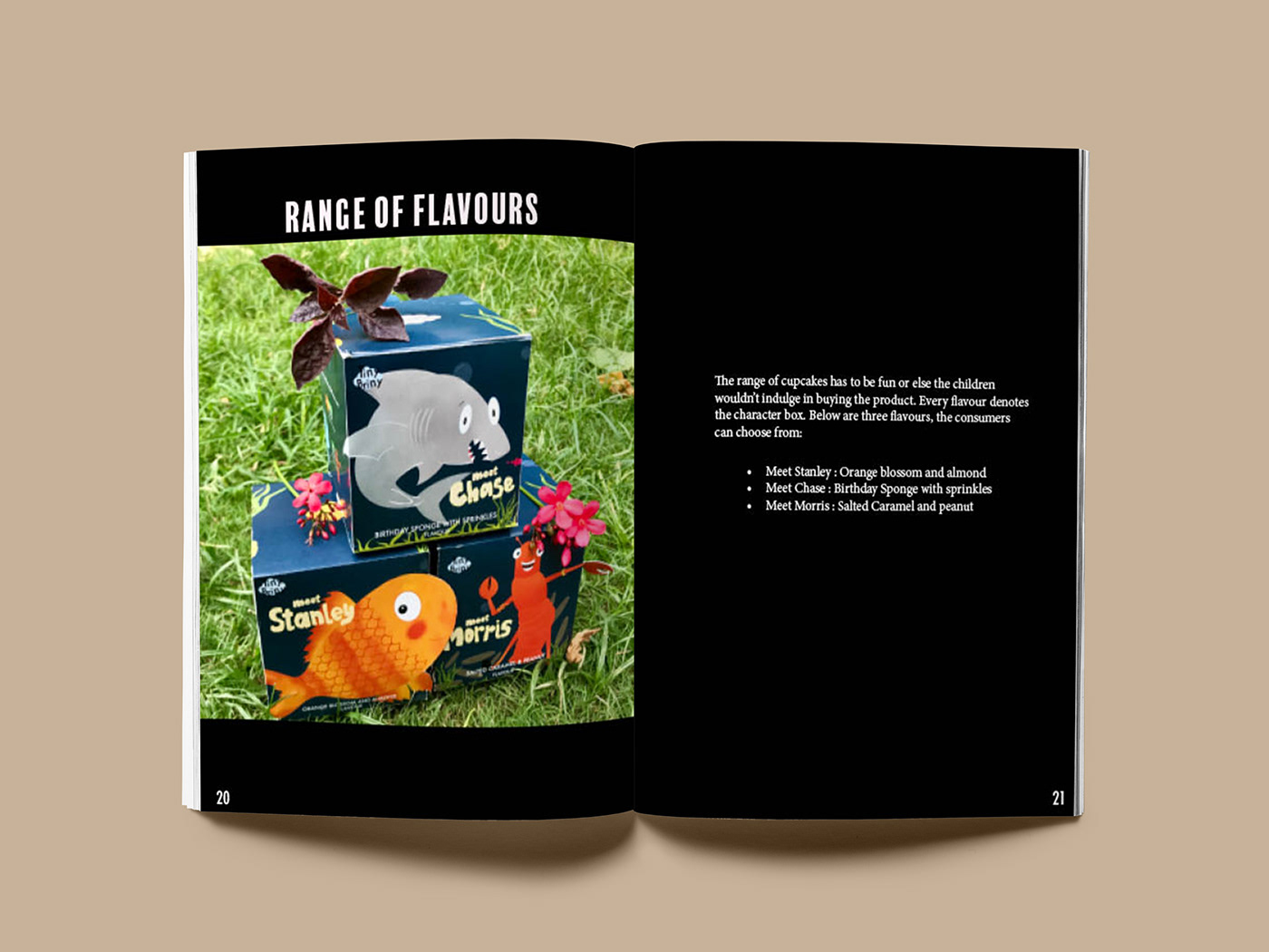 recyclable story kids the bravest fish matt buckingham Procreate magazine Photography  product Packaging & Branding