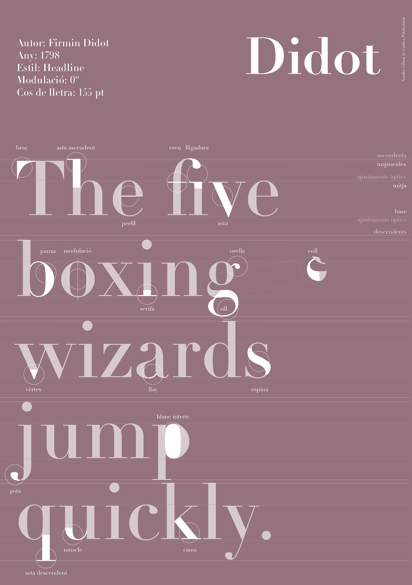 adobe illustrator didot font Didot Poster Didot Typeface firmin font pangram tipografia tipography typographic