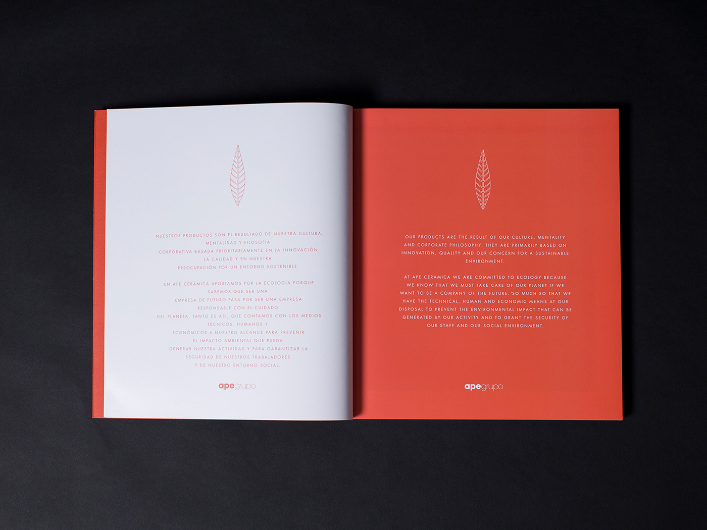 editorial graphicdesign ceramica orange blue book Portada