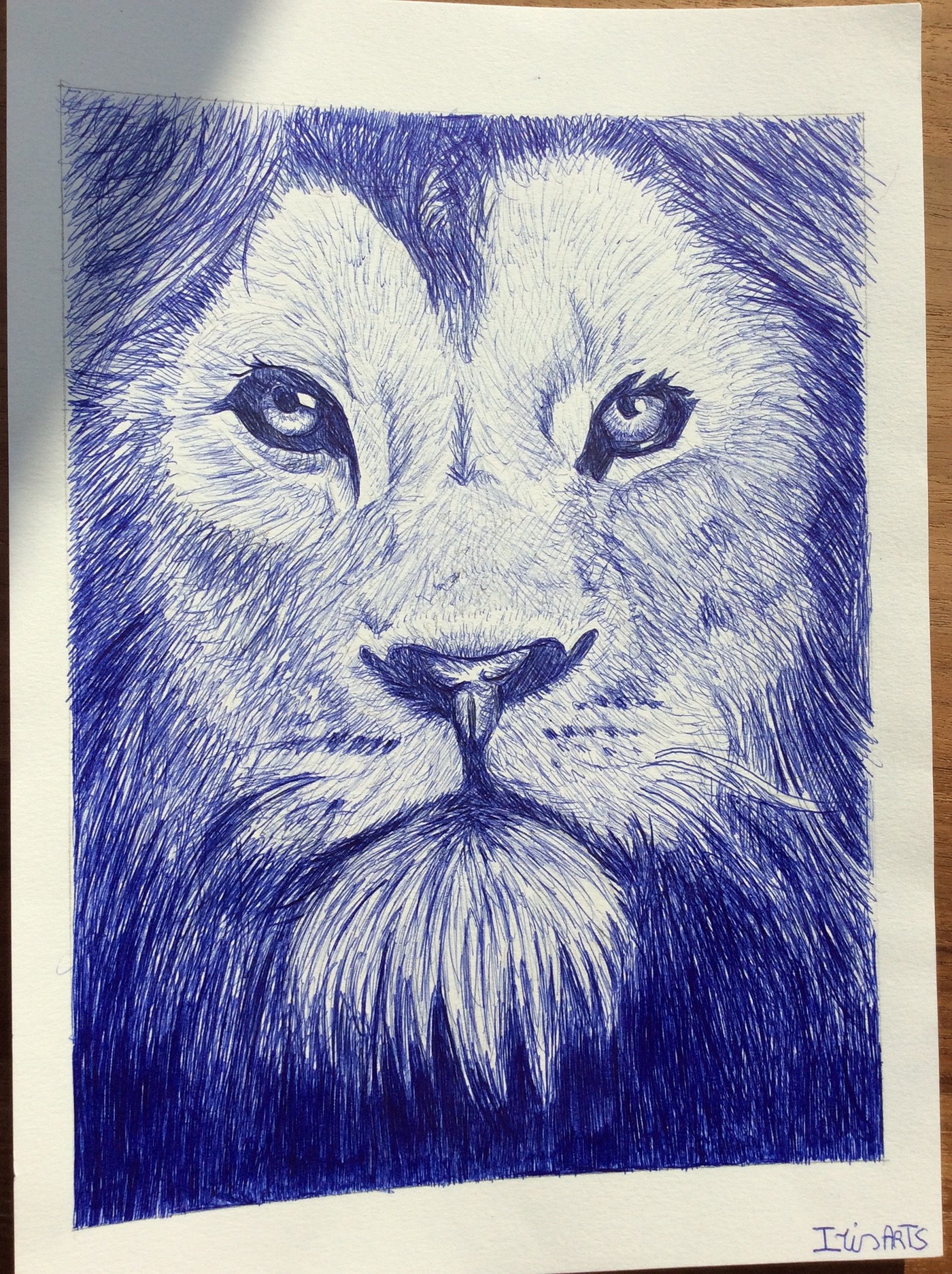 The lion leeuw bic art balpen portret