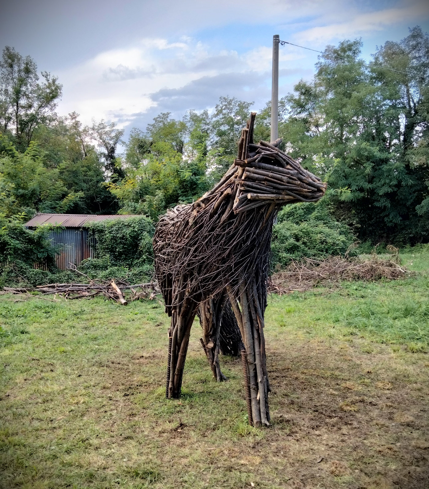 landart Nature Landscape sculpture installation contemporary art animal FOX path