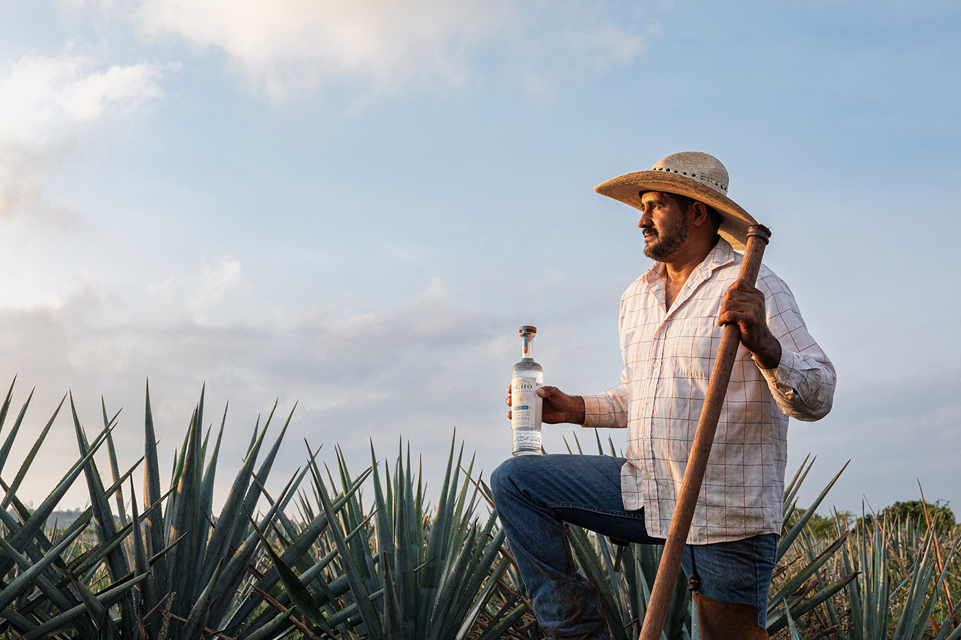 Tequila jalisco mexico Product Photography agave bottle bottle design design Label Arandas