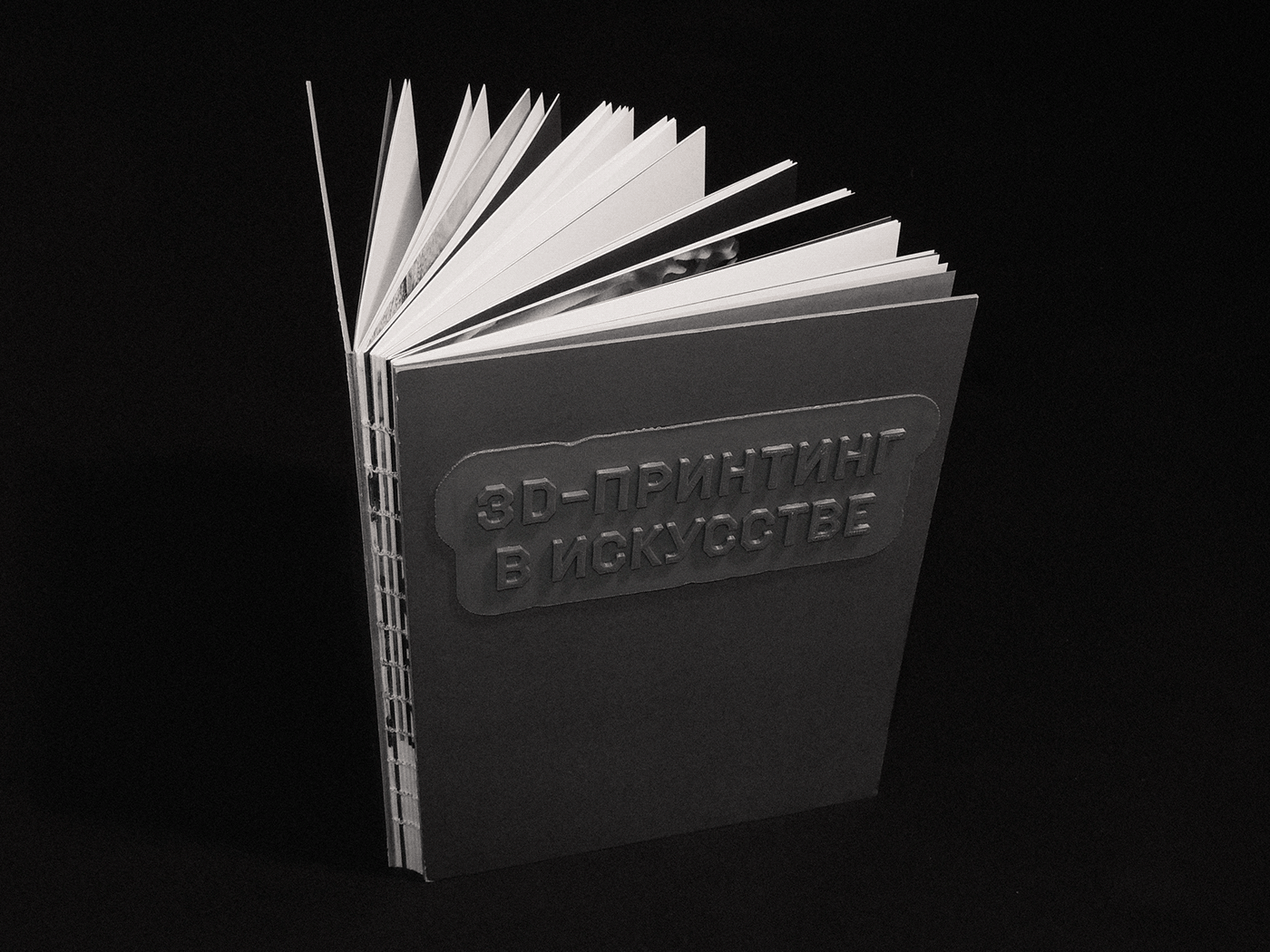visual research 3d printing editorial Layout book typography   design Adobe InDesign